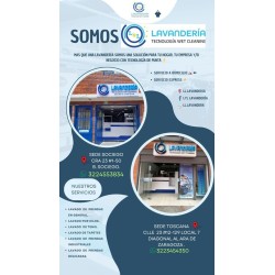 Servicio Express